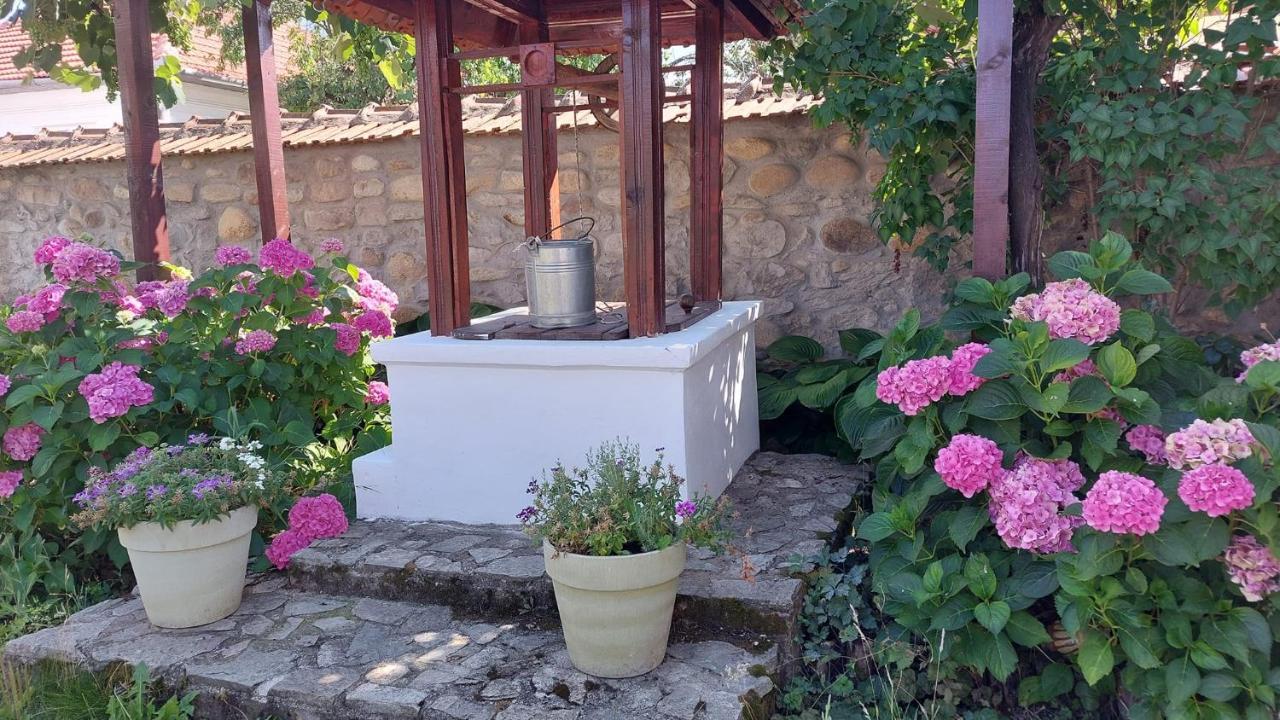 Casa Canda Salasu de Sus Exterior photo