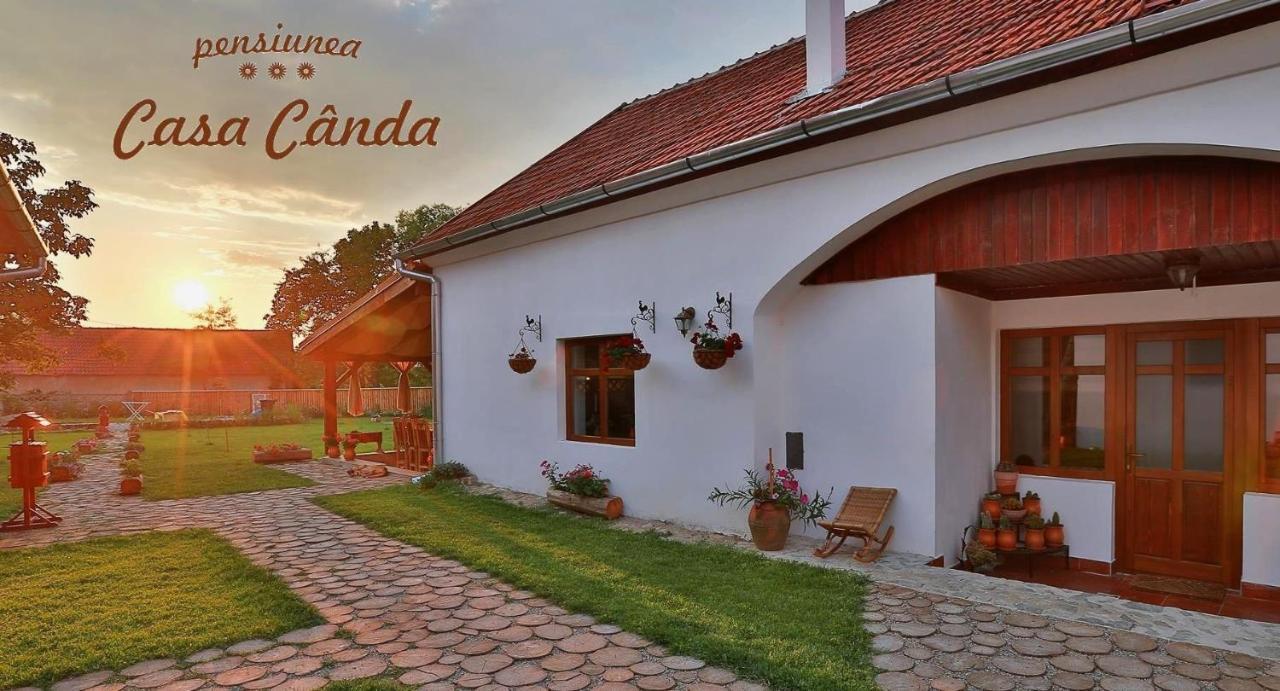 Casa Canda Salasu de Sus Exterior photo